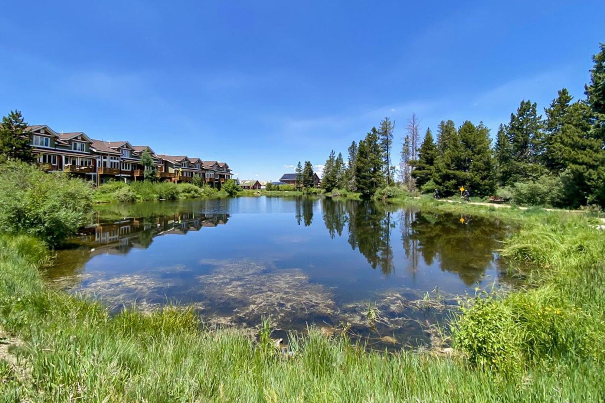 Hi Country Haus Getaway Apartment Winter Park Ruang foto